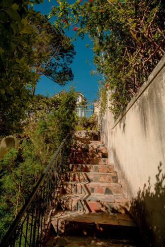 Hotel The Bloom Dalat