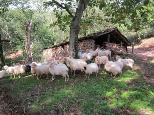 Agroturismo Casa Rural Lakoizketa