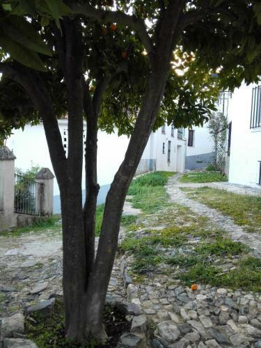 Casa El Naranjo Dulce