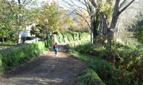 Agroturismo Casa Rural El Riandero