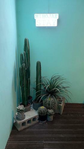 Apartamento ??? ???