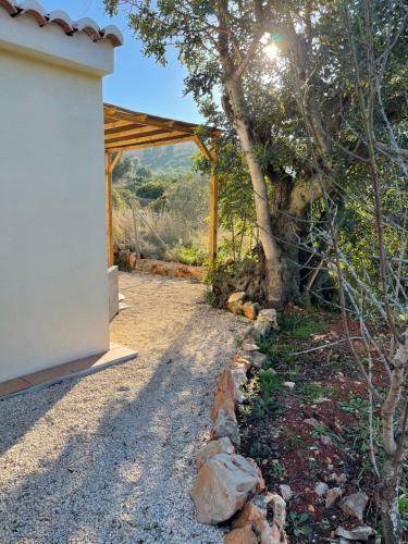 Bed & Breakfast Amanaya