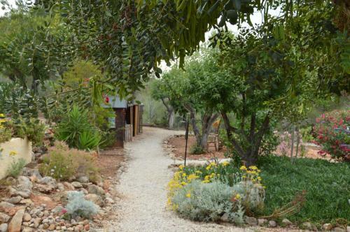 Finca Lliber