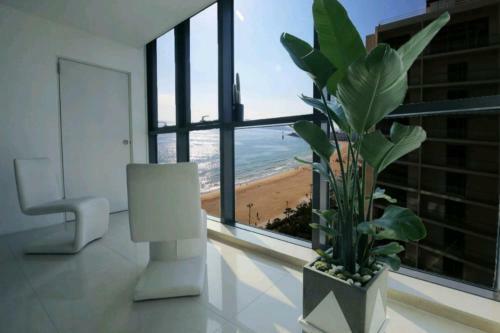 Apartamento Pale de Cz Condominium
