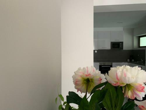 Apartamentos M.bell