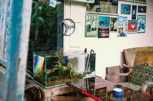 Chapi Coffee & Backpacker