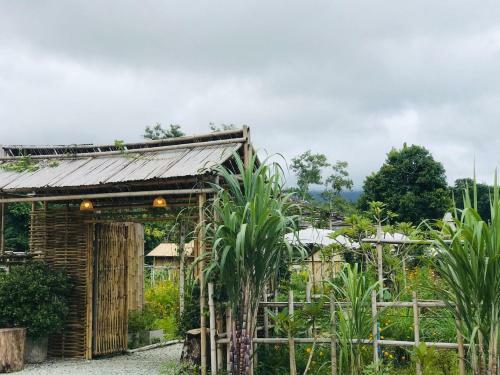 Baibai At Thaimuang Farmstay