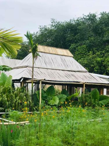 Baibai At Thaimuang Farmstay