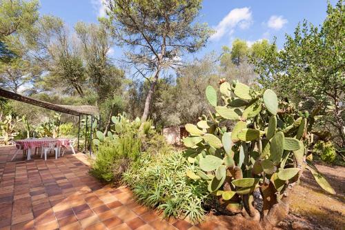 Villa Sa Rota