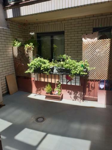 Apartamento Piso C�ntrico Acogedor