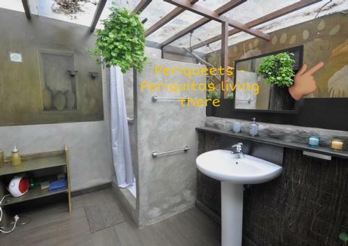 Studio Mazo The Glamping