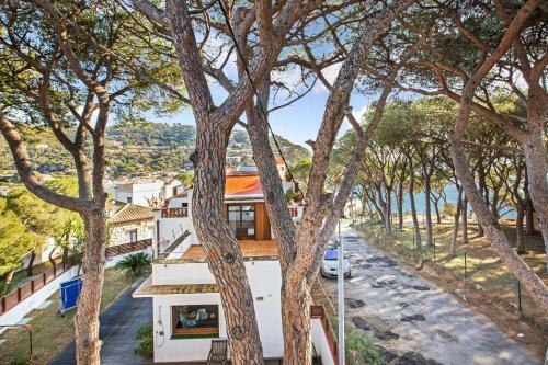 Apartamento Ancora 07