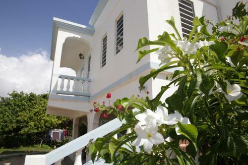 Apartamento Breezee