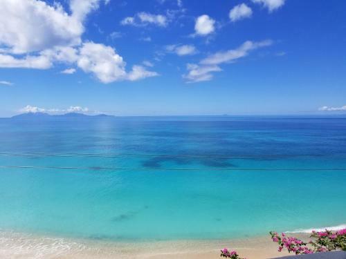 Orrie's Beach Bar And Hotel