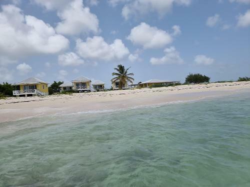 Charming 1-bed Cottage In Codrington