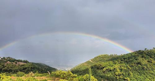Hostal Panoramic View