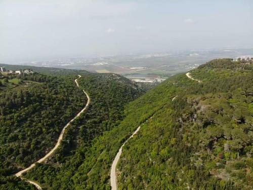 Hostal Panoramic View