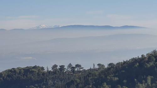Hostal Panoramic View