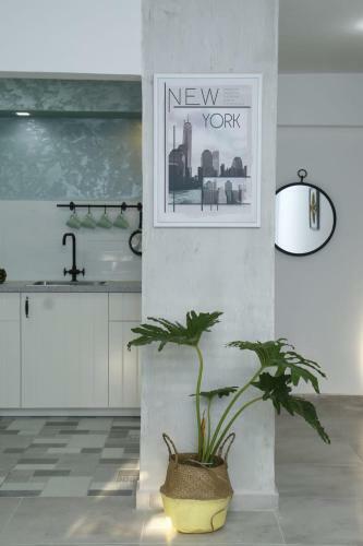 Apartamento Artichoke Boutique