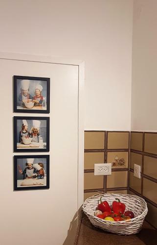 Alice Gallery House