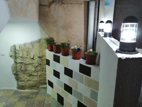 Bed & Breakfast Petra Heritage House