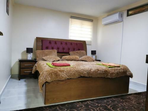 Apartamento Petra 555