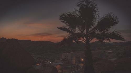 Hostal Petra Peace House