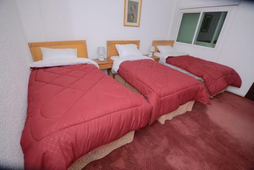 Petra Lion Hotel
