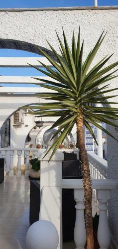 Two Bedroom Villa In Spain