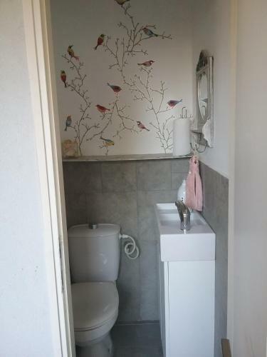 Hostal Hamedina De Silvina