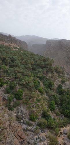 Misfah Heights