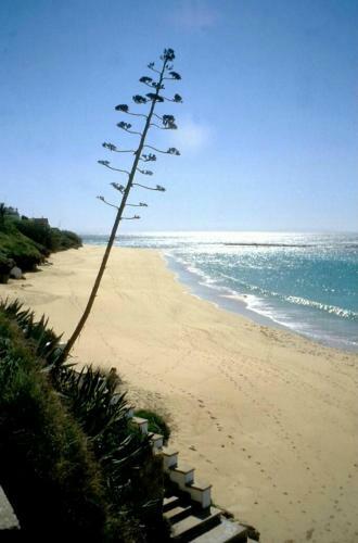 Casa "la Bre�a". Surf,sol Y Relax.