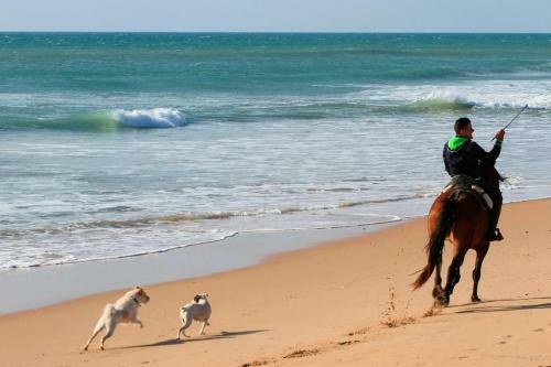 Apartamento Lugar Feliz- Playas Los Ca�os de Meca