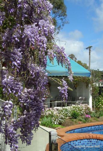 Langford House B&B