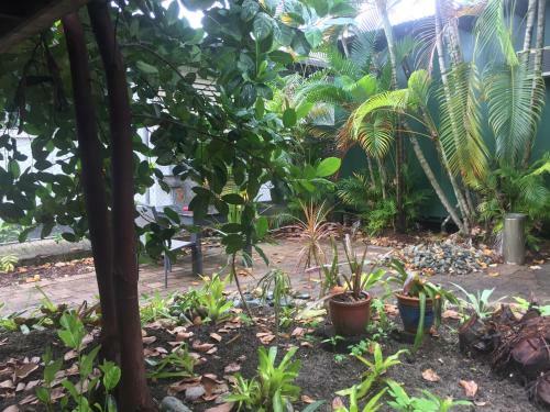 Cairns City Backpackers Hostel