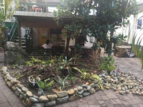 Cairns City Backpackers Hostel