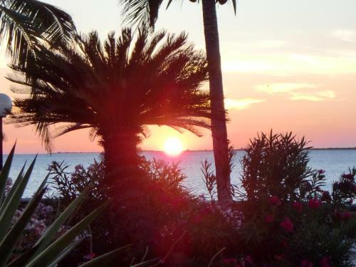 Apartamento Oceanfront Condo With Pool,breathtaking View, Wifi