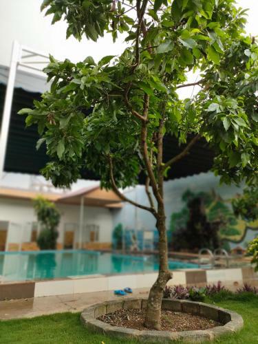 M?c Homestay