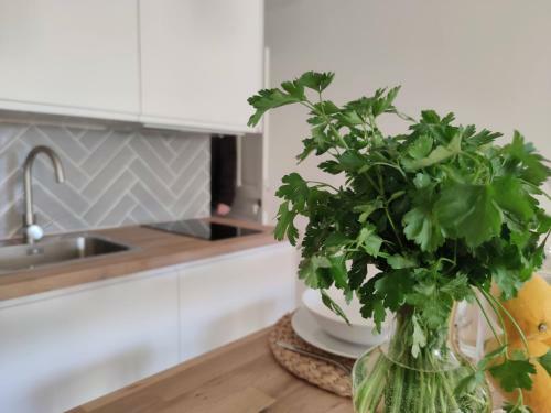 Apartamento Cathedral Suite Home