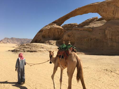 Desert Trips