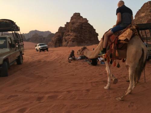 Desert Trips