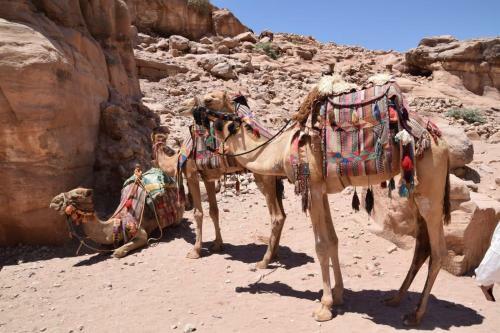 Desert Trips