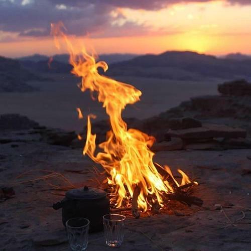 Hotel Bedouin Future Camp