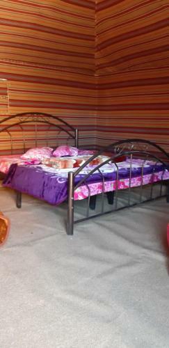 Hotel Bedouin Future Camp