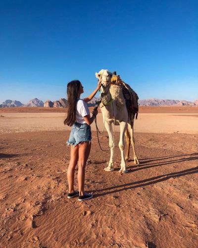 Hotel Bedouin Future Camp