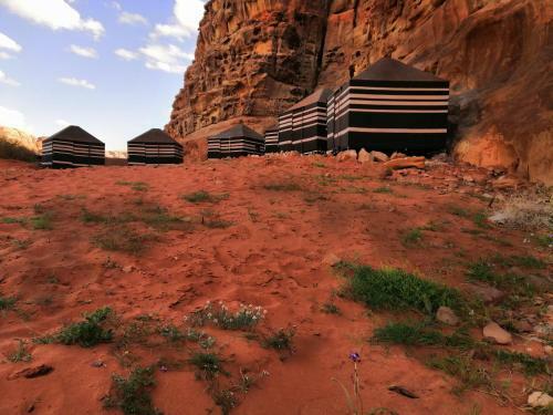 Omar Ghazi Camp