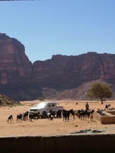 Omar Ghazi Camp