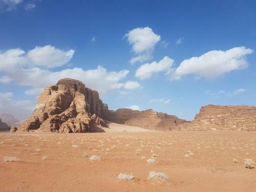 Wadirum Sand Camp