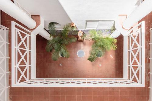 Apartamentos Atl�ntico Playa