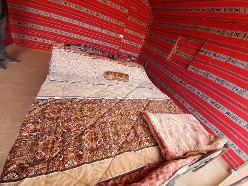 Bedouin Host Camp& With Tour